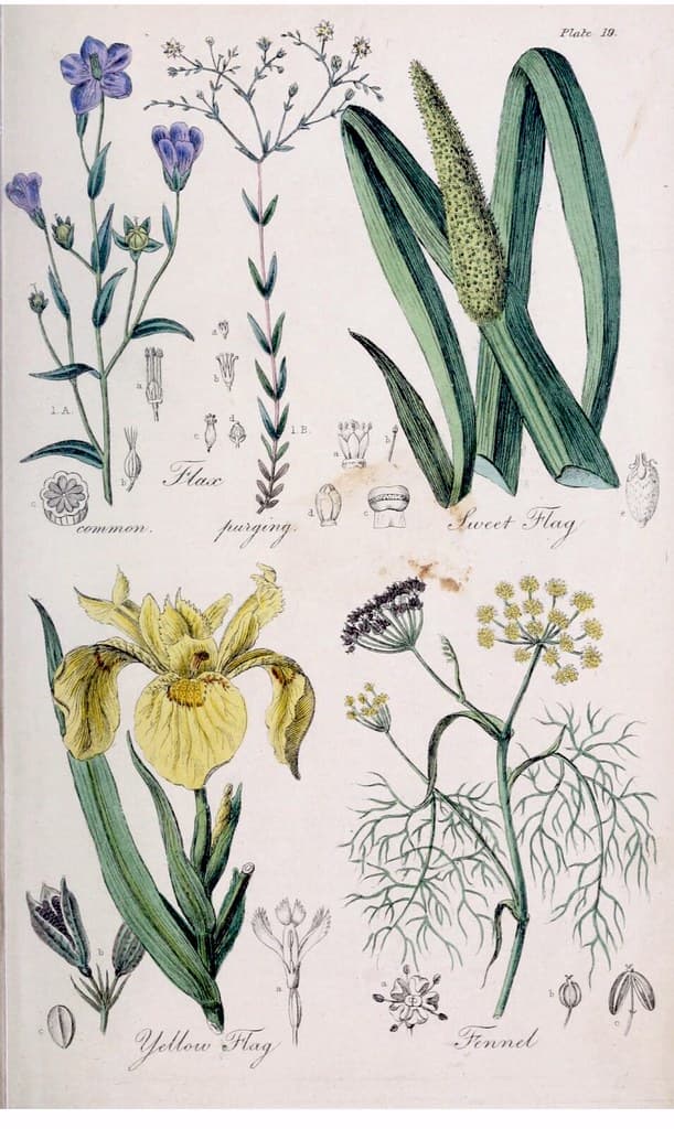 Rempah & Bumbu