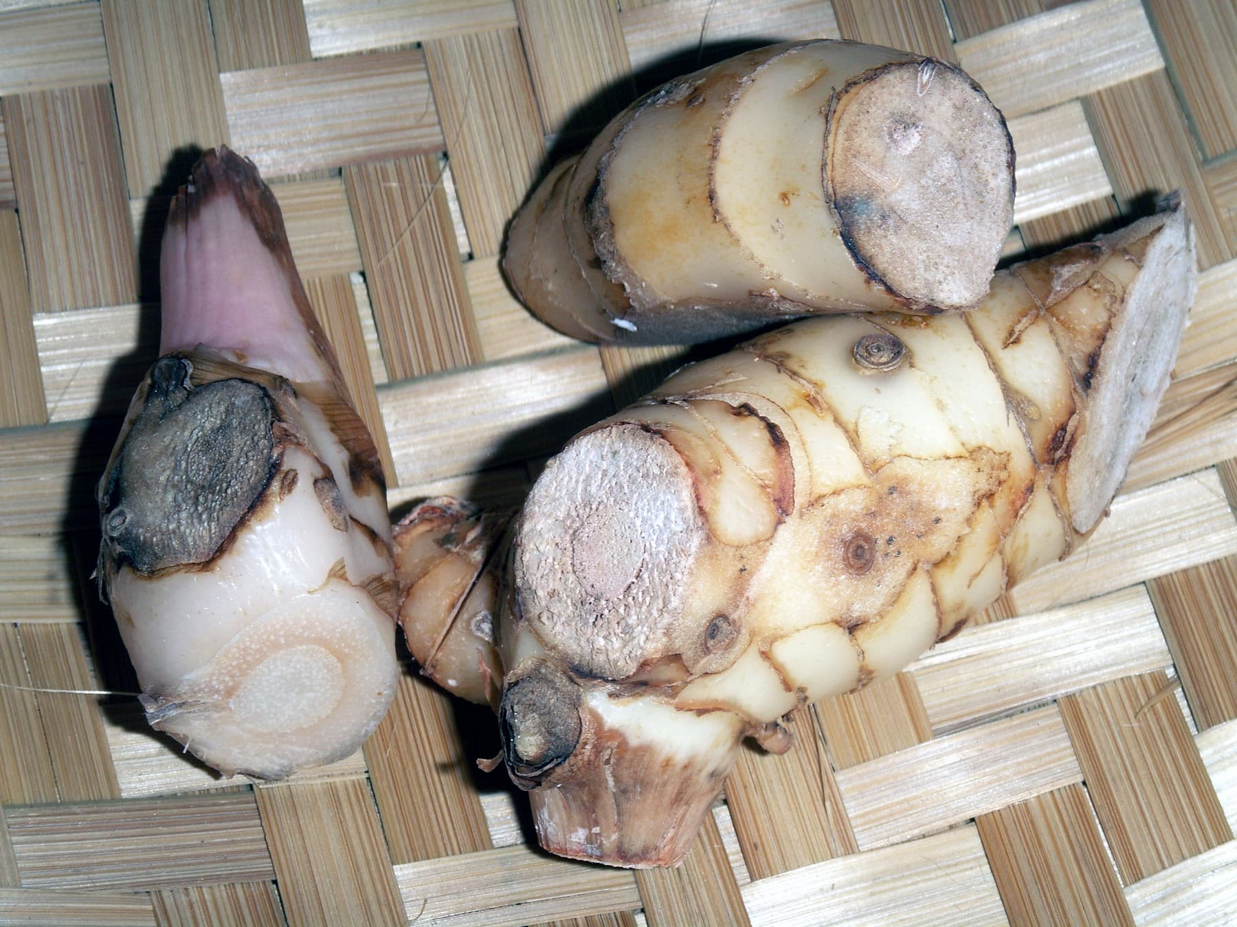 Lengkuas